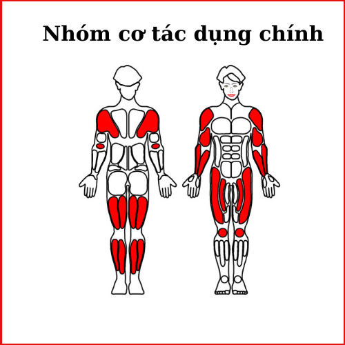 nhom-co-tac-dung